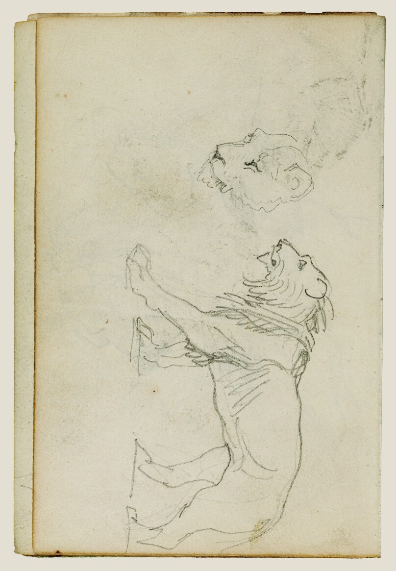 Lion walking, head of a lioness