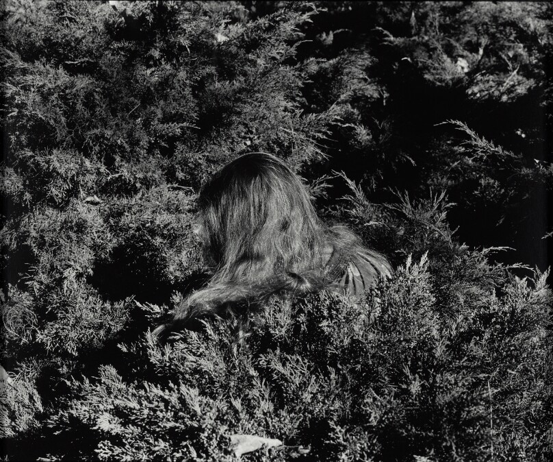 Untitled (Hair)