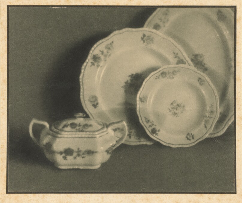Still Life