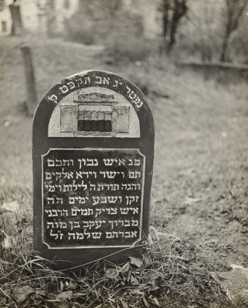 In the old Jewish cemetery of Lublin