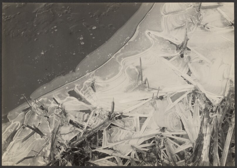 [Frozen Bank]