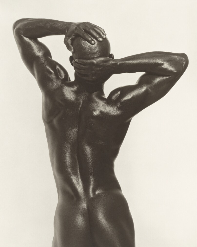 Djimon Three-Quarter Nude, Back View, Hollywood