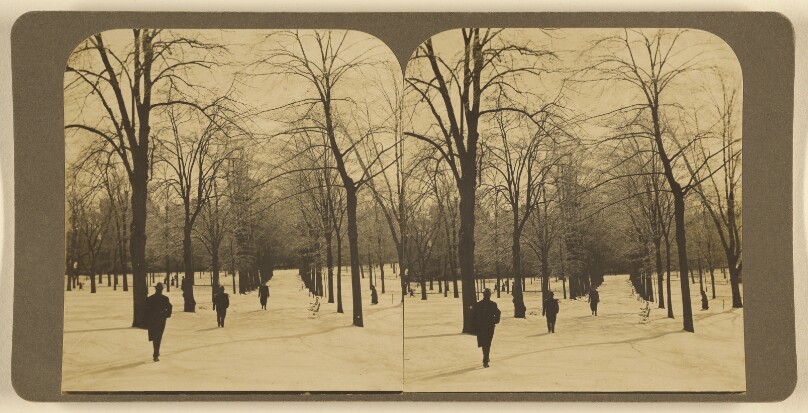 [Boston Common]