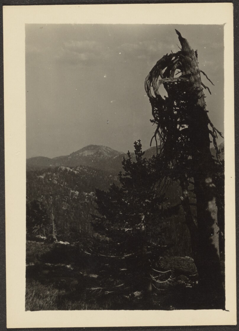 [Abe Lincoln Peak]