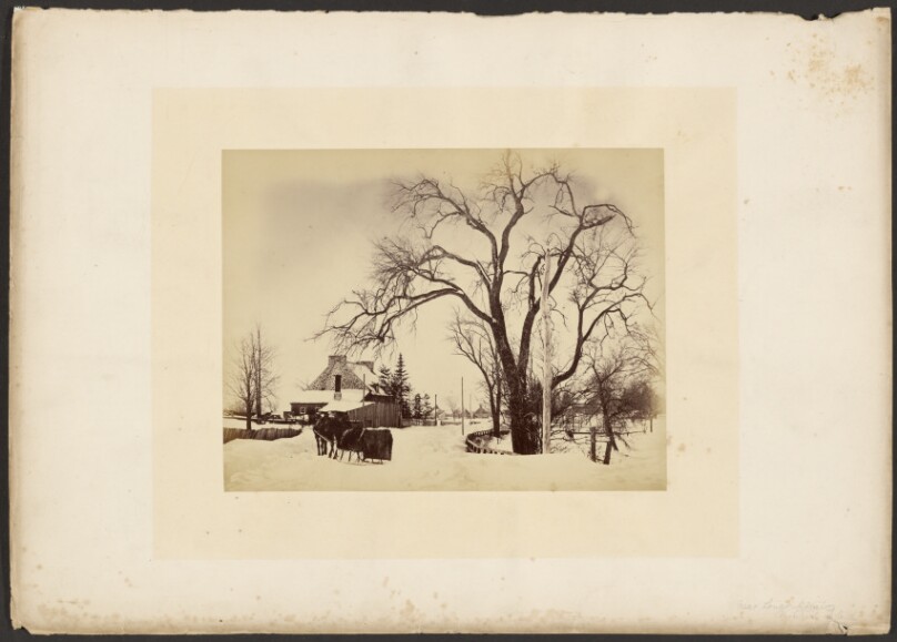 Near Long Points, Montreal Island