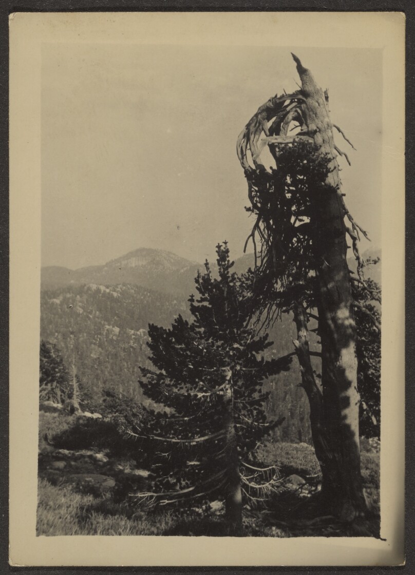 Louis Fleckenstein
