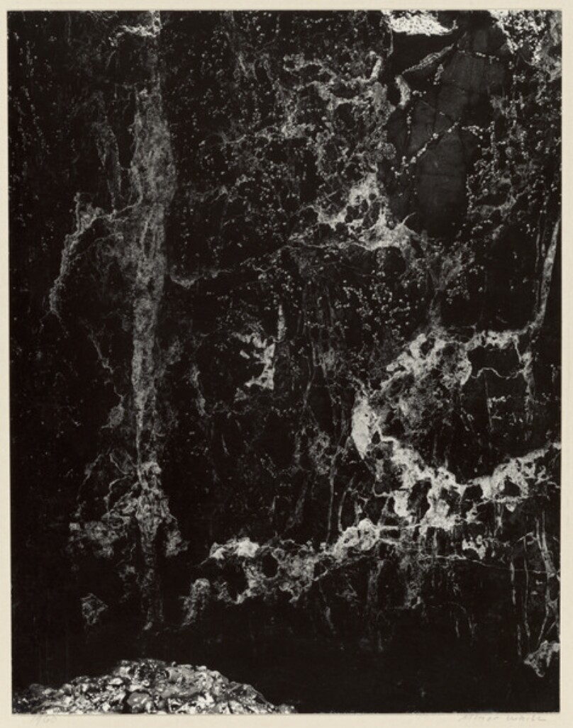 Rock Disintegration, Cape Meares, Oregon