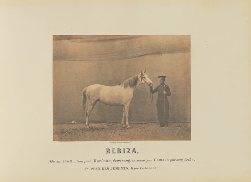 Rebiza