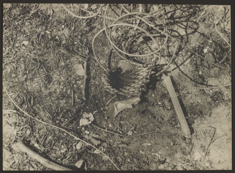 [Title Unknown]