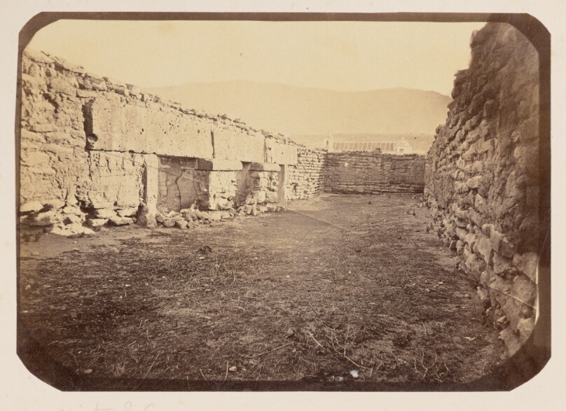 Vista 26