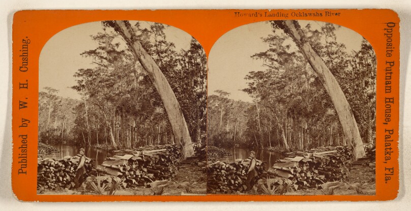 Howard's Landing Ocklawaha River [Florida]