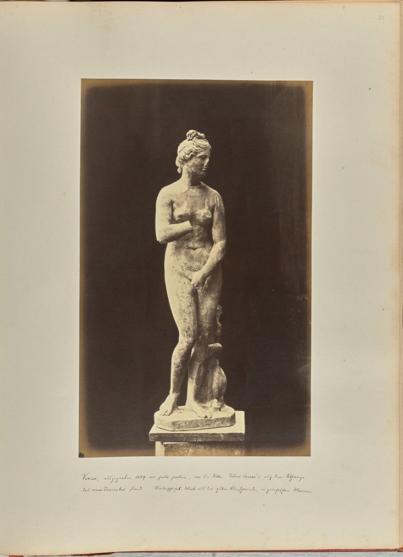 [Statue of Venus, front view]