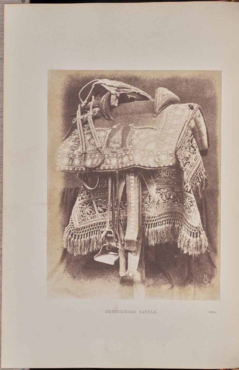 Embroidered Saddle