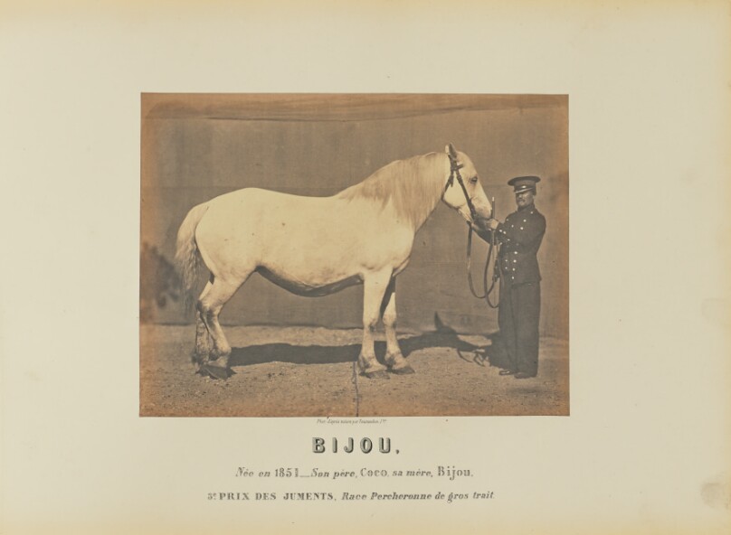 Bijou