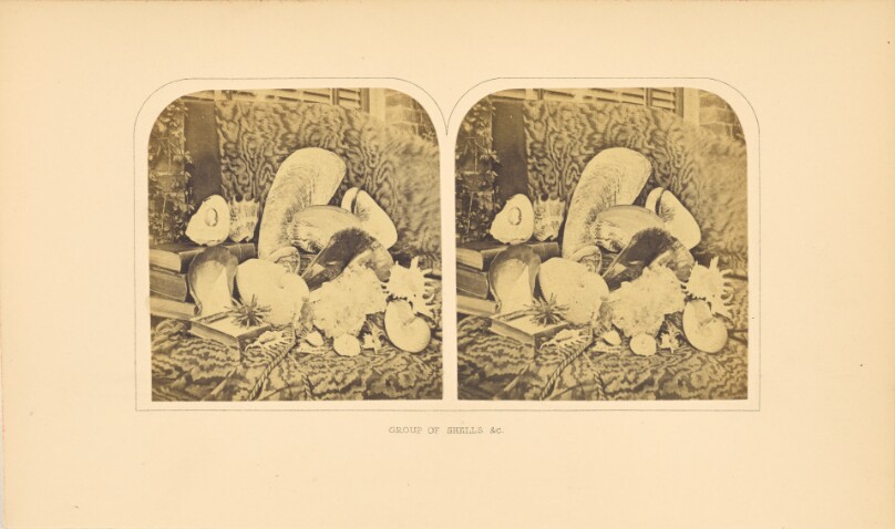 Group of Shells, et cetera