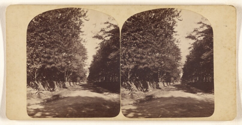 [Love Lane, Newport, R.I.]