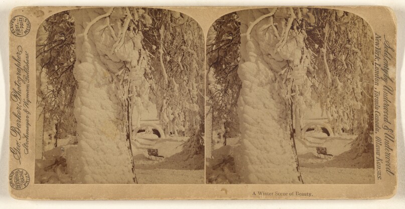 A Winter Scene of Beauty.