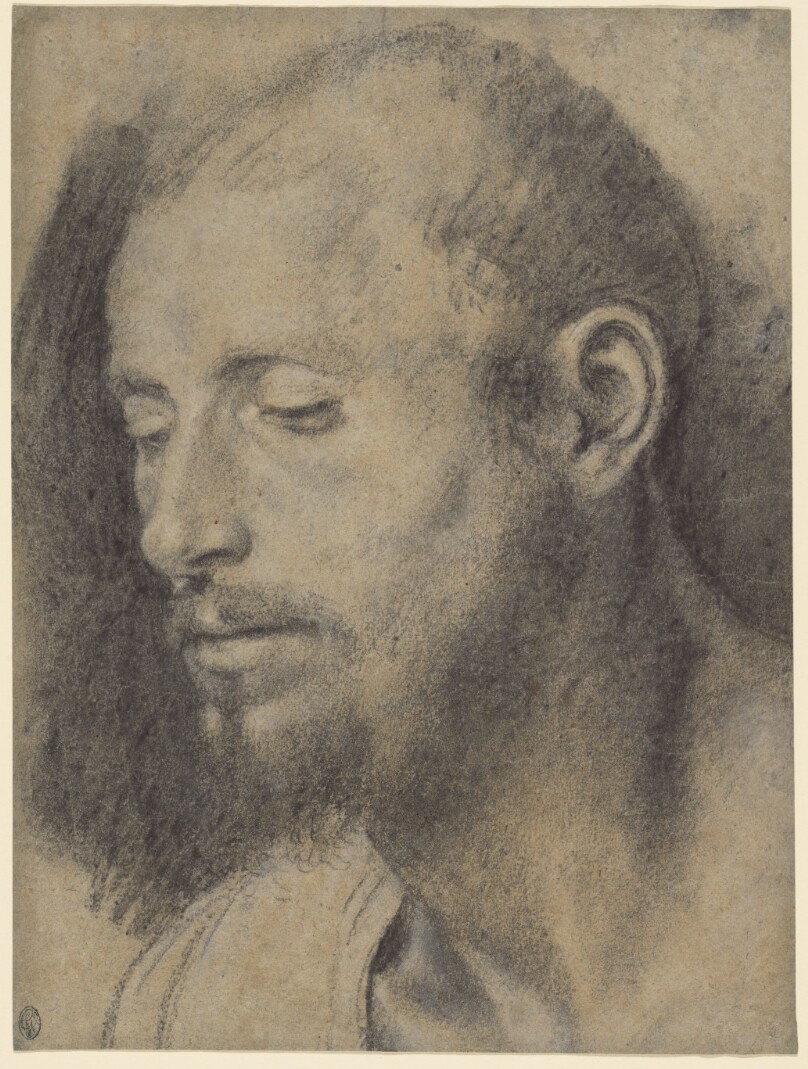 Study of the Head of a Bearded Man