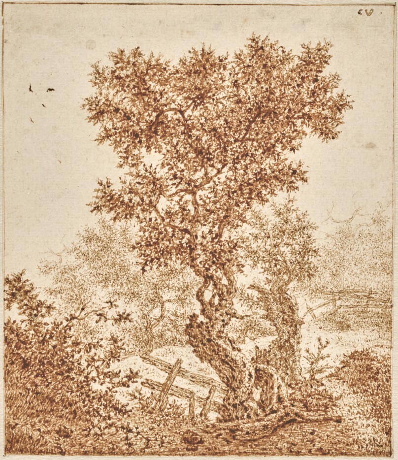 Claes van Beresteyn