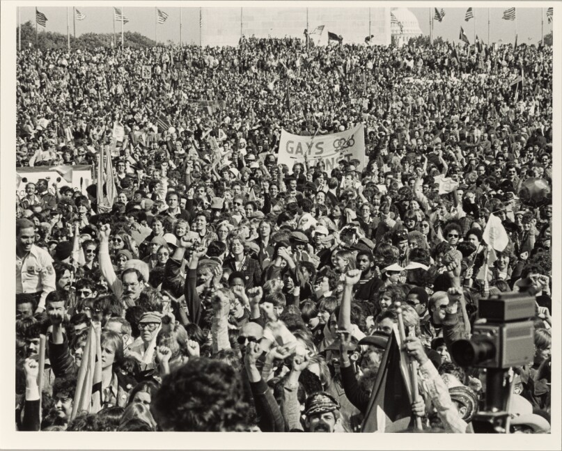 Rally crowd at the 1st National March on Washington for Lesbian and Gay Rights