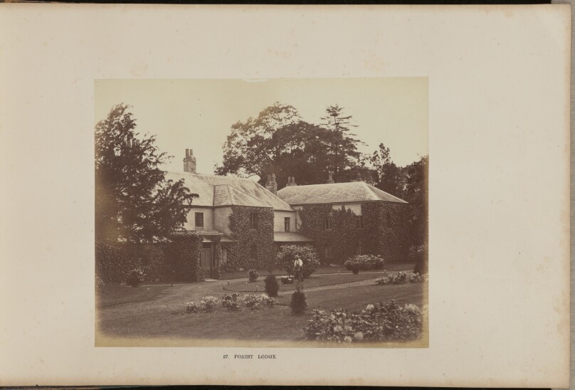 Forest Lodge
