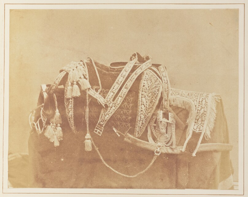 Tunisian Saddle