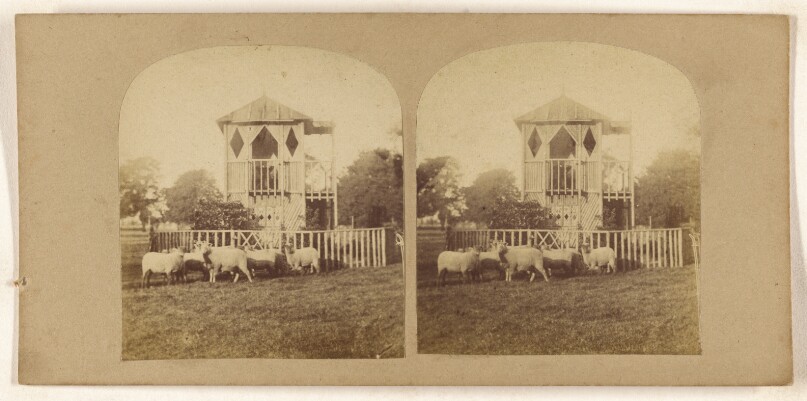[Sheep on lawn in front of unusual fenced-in building]