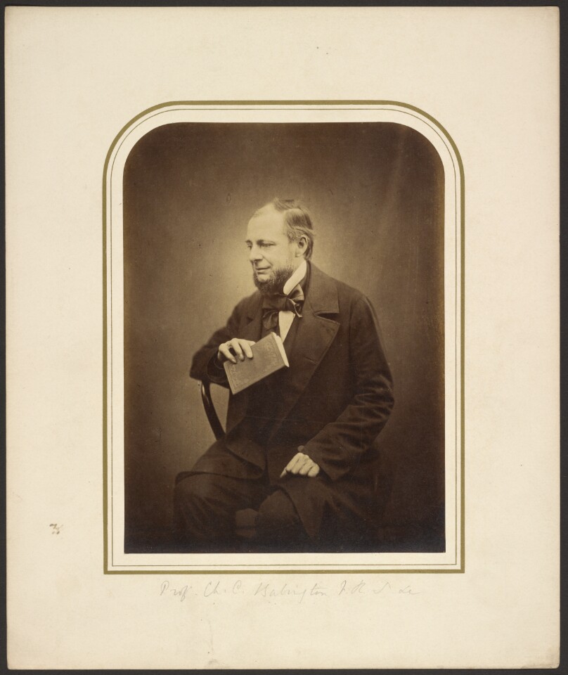[Prof. Ch. C. Babington]