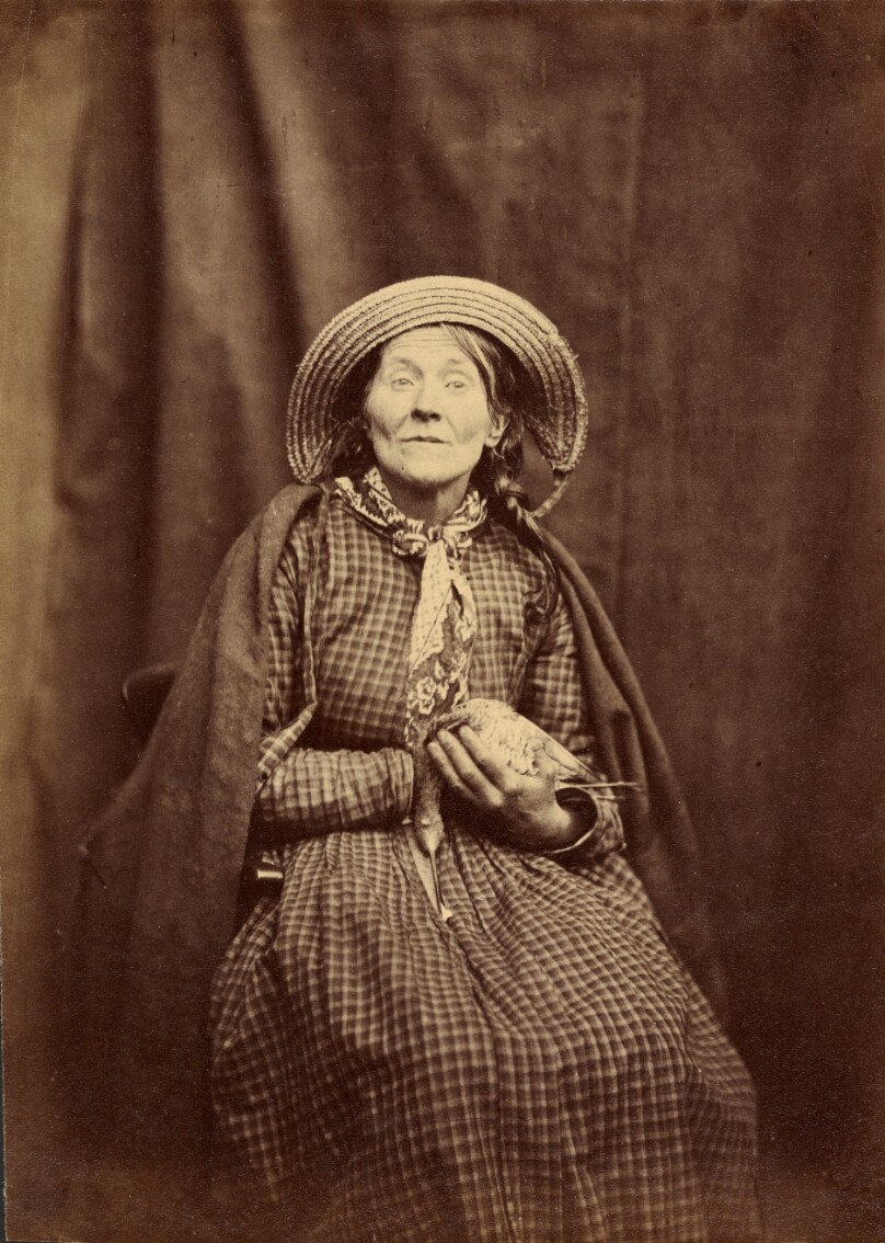 [Seated Woman with a Bird]