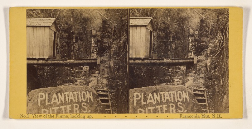View of the Flume, looking up. Franconia Mts., N.H.