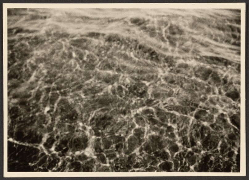 [Water Surface]