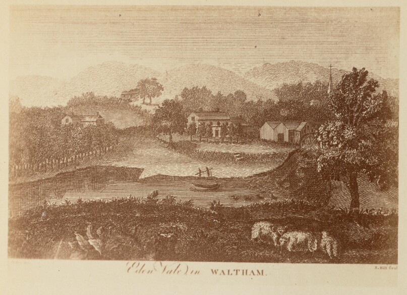Eden Vale in Waltham