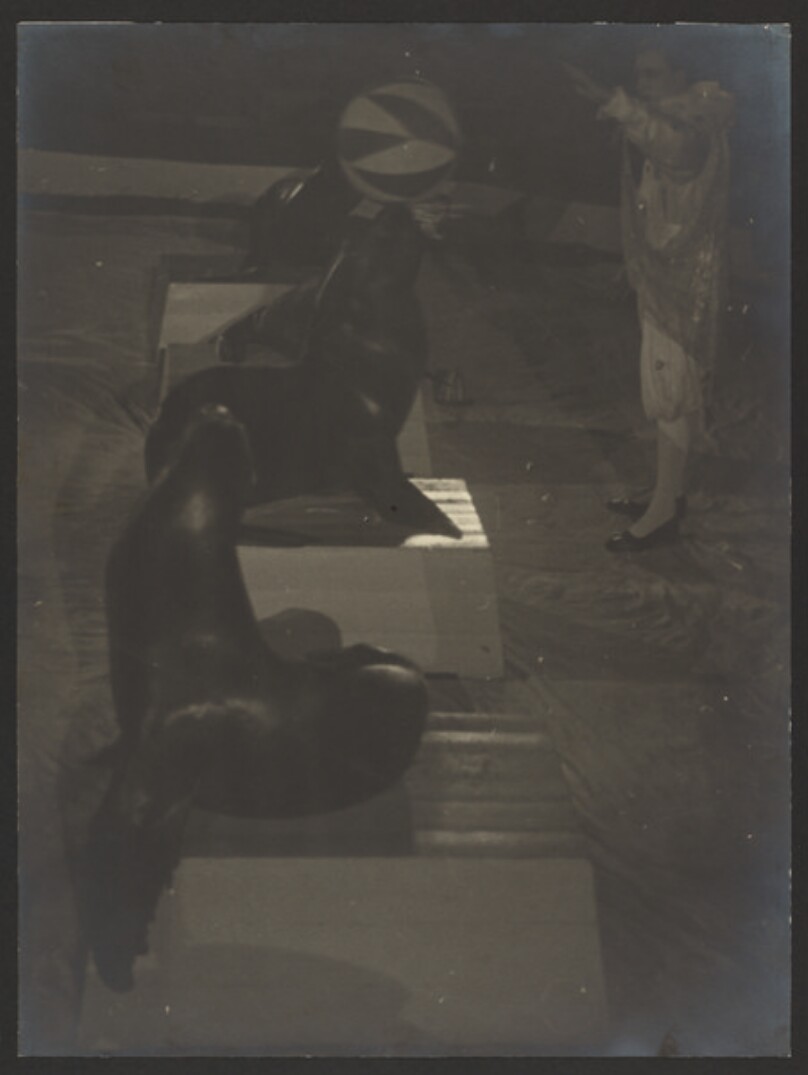Circus: Durov with Sea Lions. [Tsirk: Durov s L'vami]