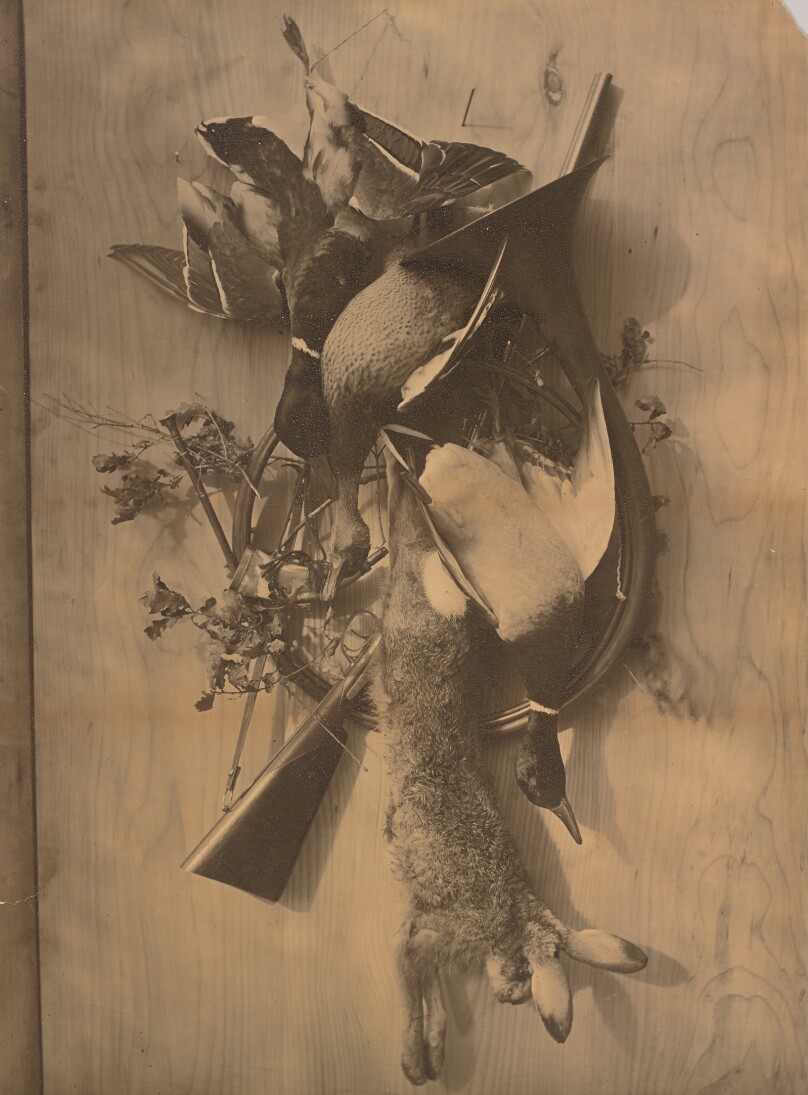 [Still Life: Dead Game]