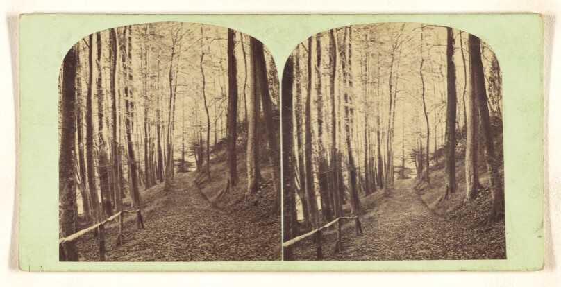 Knaresboro' - The Long Walk.