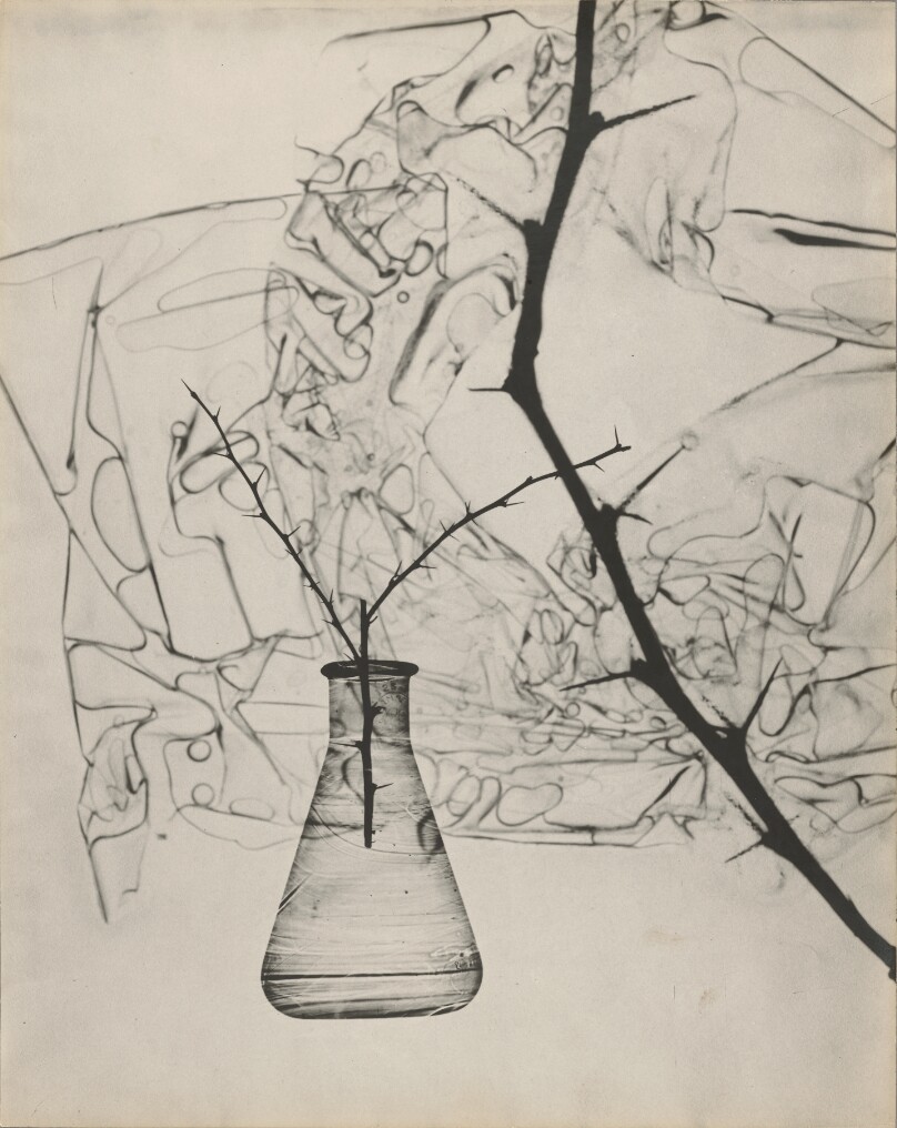 Untitled, New York