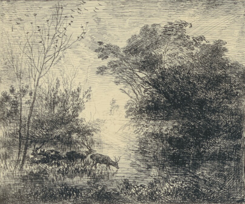 Les Cerfs