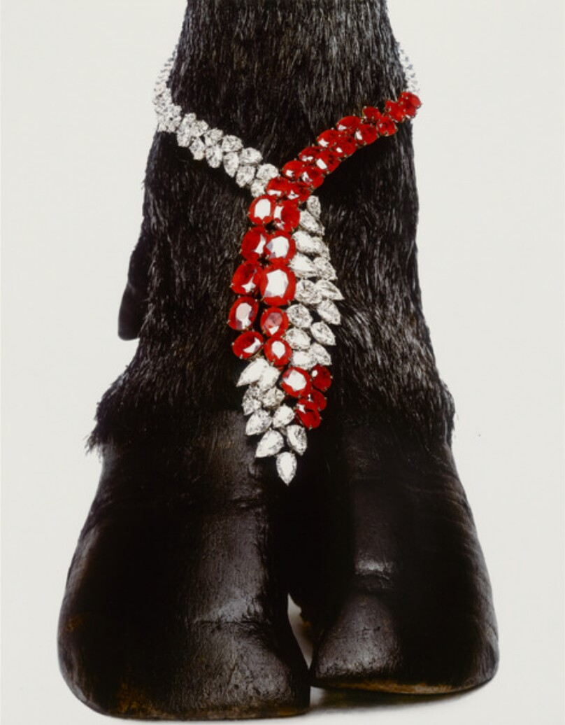 Harry Winston Necklace, New York