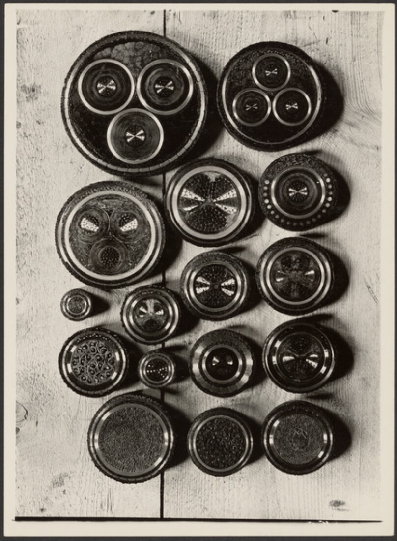 [Button-like Discs on Textured Wood]