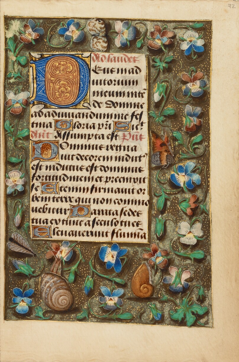 Decorated Initial D
