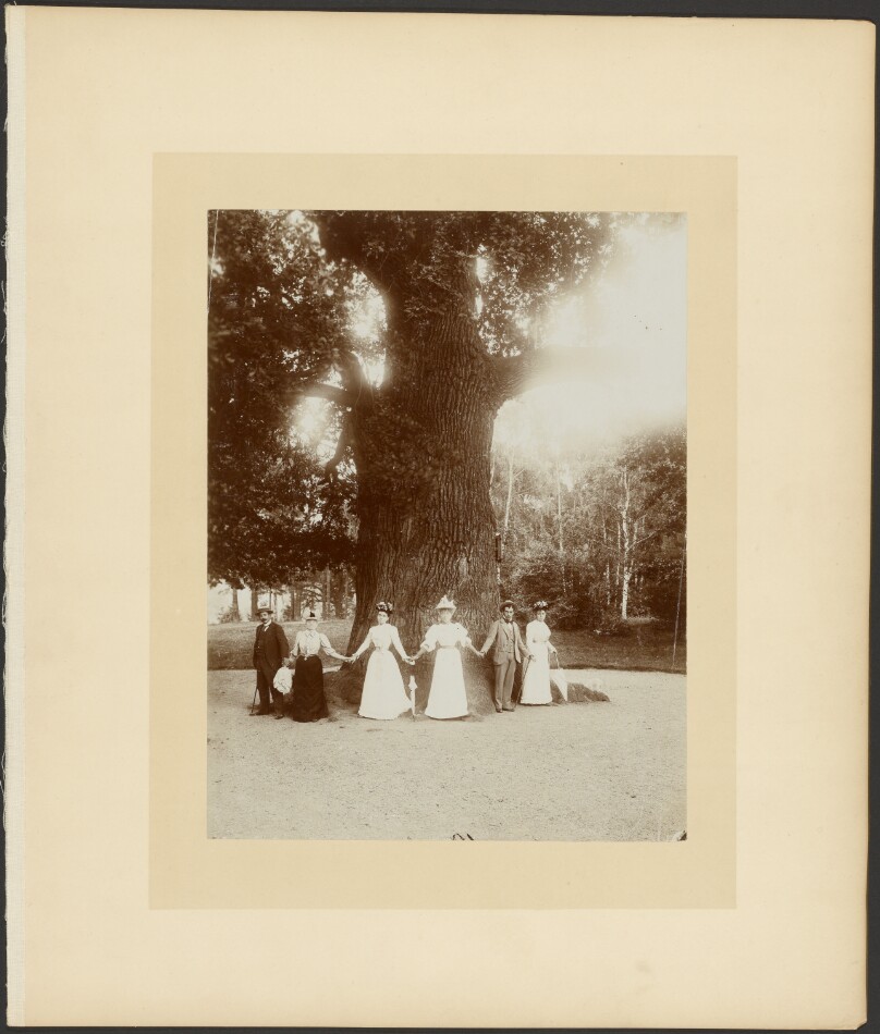 [Adolphe and Claire Salles and friends holding hands around tree]