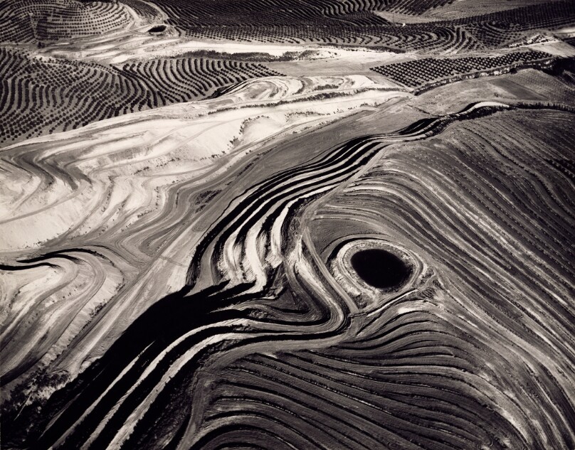 Hills Terraced for New Orchards, Ventura, California