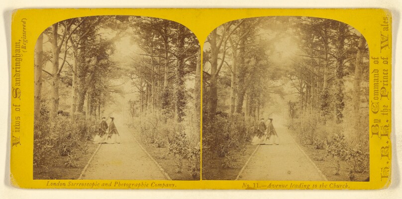 Avenue leading to the Church. [Sandringham, England]