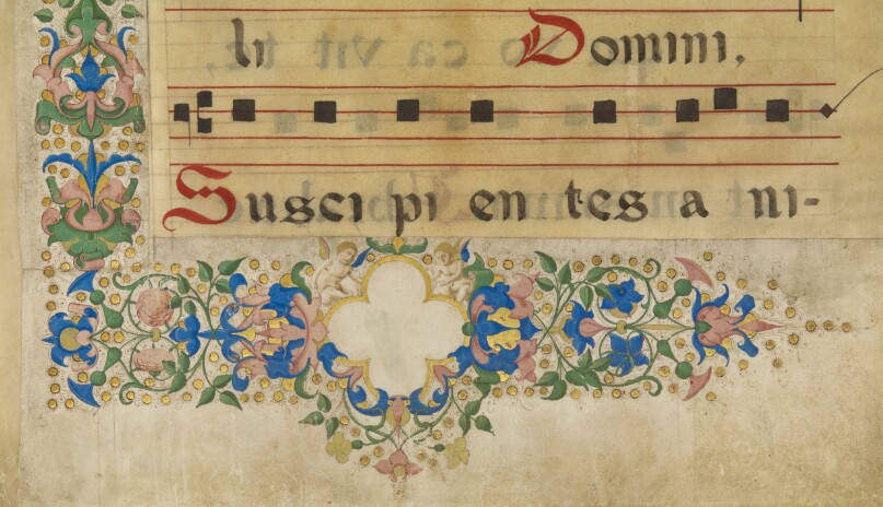 Decorative Border