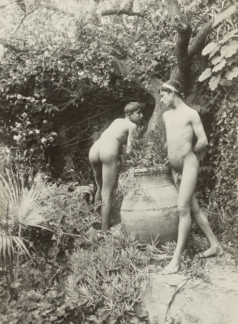 [Two Nude Young Men in a Garden]