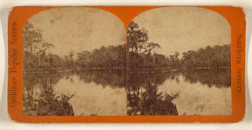 Silver Spring, Ocklawaha River. [Florida]