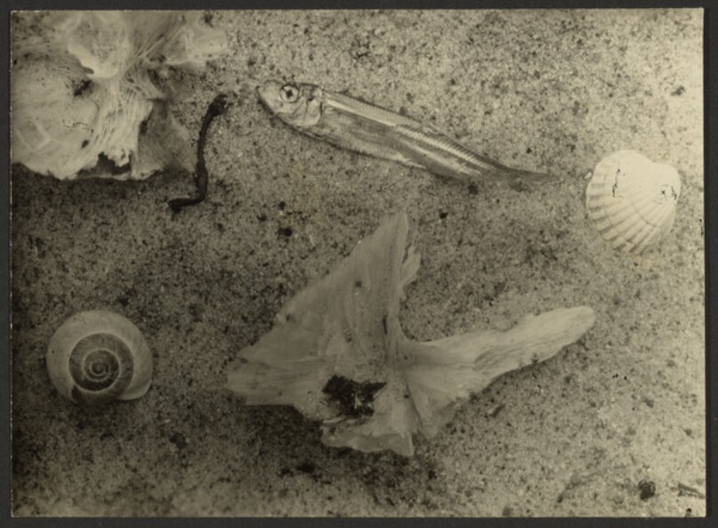 [Material Study]