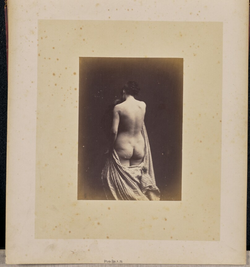 [Portrait of a woman, nude]