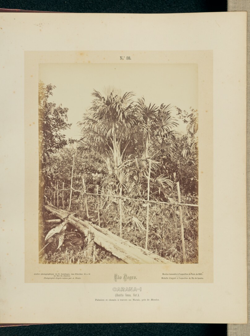 Carana-i