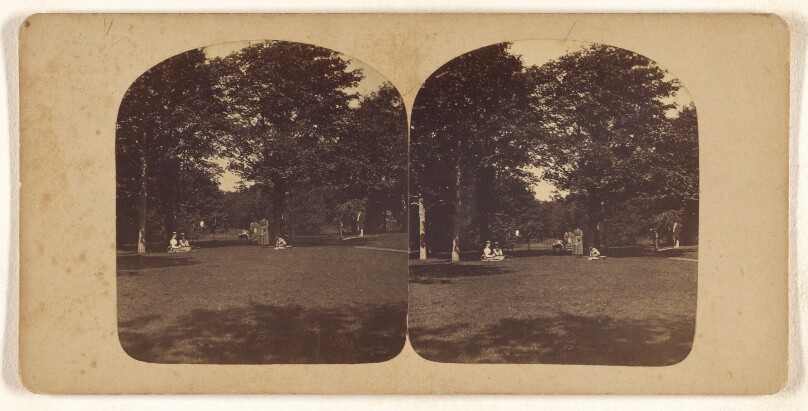 [View of a park, Newport, Rhode Island]
